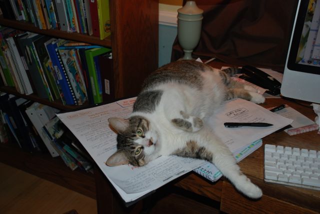 writing-helper-cat-223