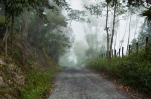 foggy-road-writing-prompt