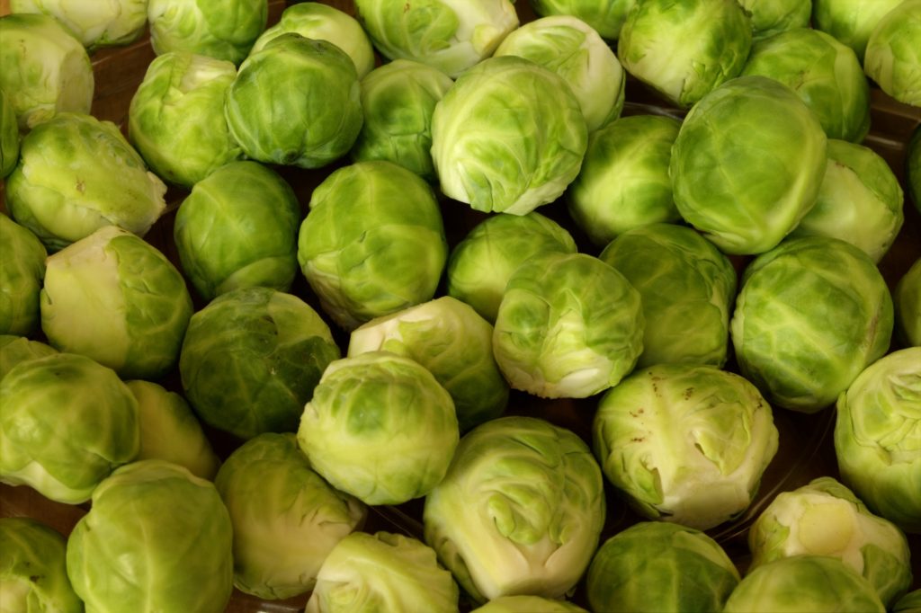 brussels-sprouts